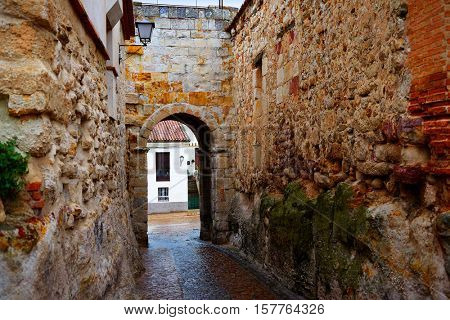 Zamora door of Dona Urraca in Spain by the via de la Plata way of Saint James