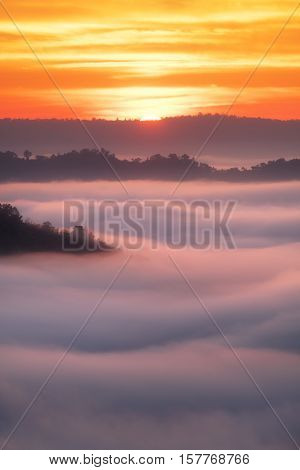 Beautiful sunrise view and sea of clouds from Phuhuayesan in Nong khai provience, Thailand.
