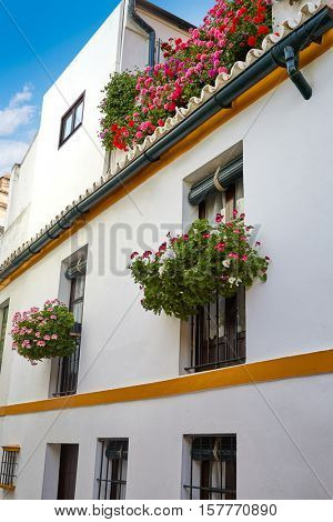 Seville Juderia barrio in Andalusia Sevilla of Spain