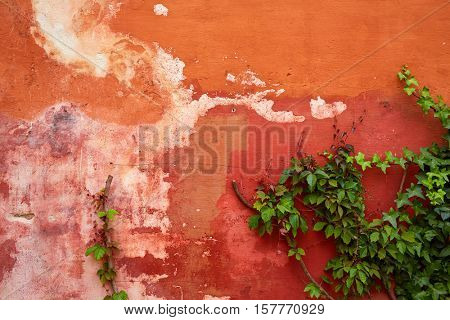 Seville Juderia barrio in Andalusia Sevilla of Spain