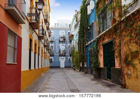 Seville Macarena barrio facades in Sevilla Spain