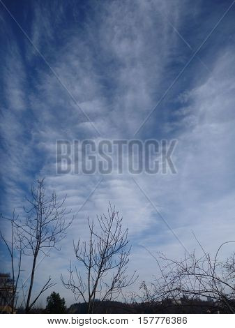 Blue Sky With Beautiful White Cloudshape