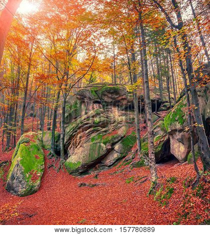 Huge rock in the autumn forest. Retro style.