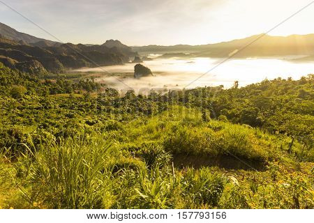 Beautiful sun rise phulangka mountain and the mist