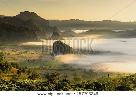 Beautiful sun rise phulangka mountain and the mist