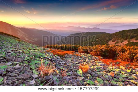 Colorful autumn sunrise in the Carpathian mountains.