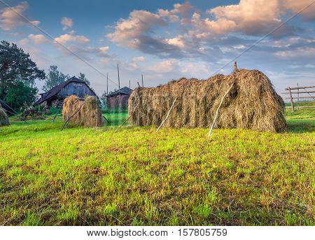 Haymaking In A Carpathian Village.