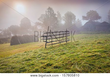 Haymaking In A Carpathian Village.