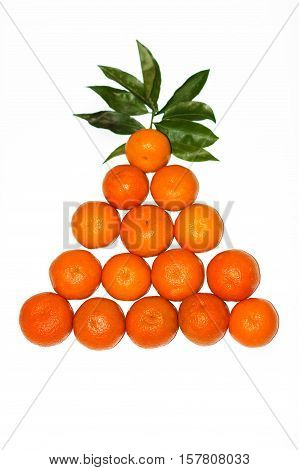 new year tree with green leaves on a white background