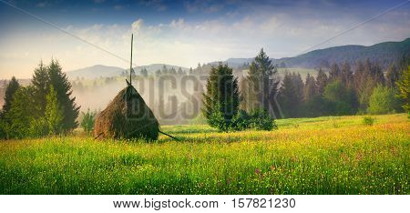Haymaking In A Carpathian Village.