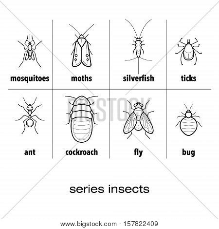 A set of vector insects - mosquito, moths, silverfish, mites, ants, cockroach, fly, bug isolated on white background. The linear design.