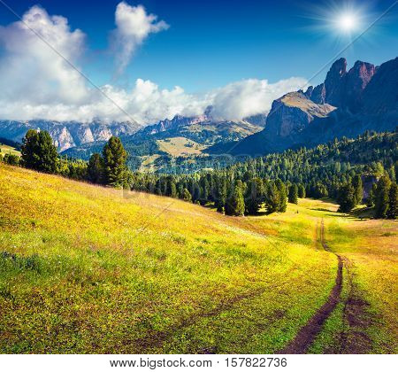 Country Road In Dolomite Alps.