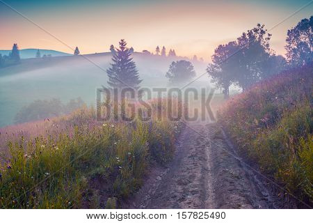 Foggy Summer Sunrise In The Carpathian Village