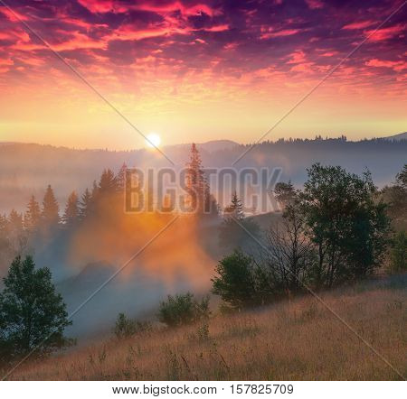 Bloody Dark Sunrisein The Carpathian Mountains.