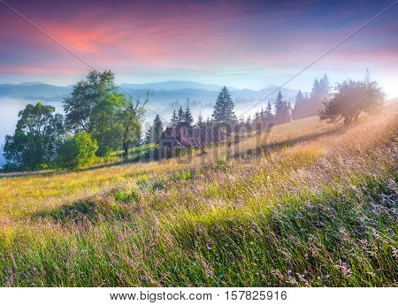 Colorful Morning Scene In The Mountains