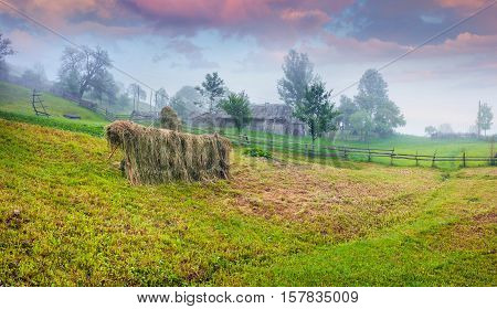 Haymaking In A Carpathian Village.