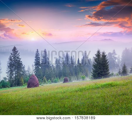 Haymaking In A Foggy Carpathian Village