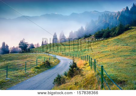 Foggy Summer Morning In The Triglav National Park