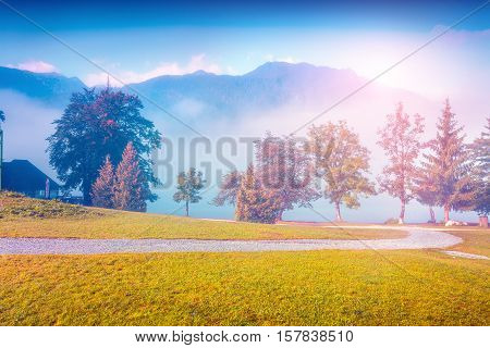 Foggy Summer Morning In The Stara Fuzina Village Park.