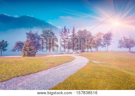 Foggy Summer Morning In The Stara Fuzina Village Park