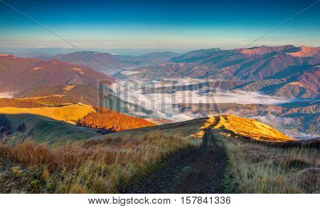 Colorful Autumn Morning In The Carpathian Mountains