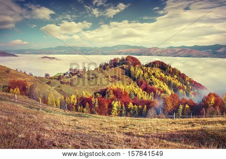 Foggy Autumn Morning In The Carpathian Mountains.