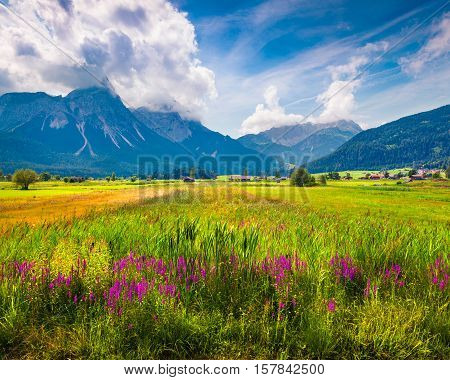 Colorful Summer Morning On The Golfclub Zugspitze