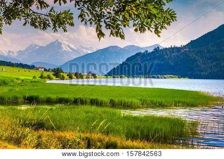 Morning Mist On The Lake Muta (haidersee).