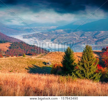 Fantastic Colors Autumn Landscape In The Carpathian Mountains
