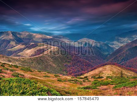 Colorful Autumn Landscape In The Mountains.