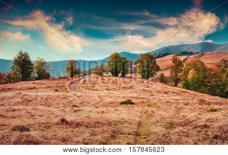 Colorful Autumn Landscape In The Mountains.