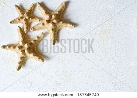Photo by three starfishes in the corner of white background with sand.