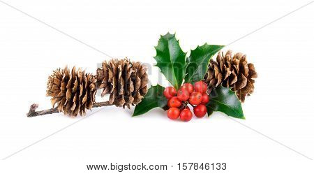 christmas decoration with holly berries and larch cones on white