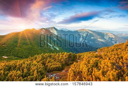 Colorful Autumn Sunrise In The Carpathian Mountains