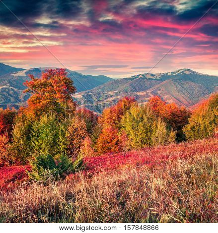 Colorful Autumn Sunrise In The Carpathian Mountains.
