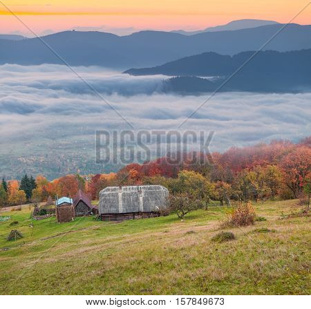 Autumn In Carpathian Village Kvasy.