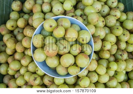 Local Thai Green Gooseberry Fruit In Chiang Mai Market, Thailand