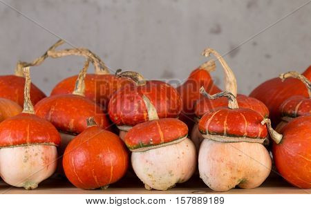 Decorative pumpkin orange color for interior decoration.