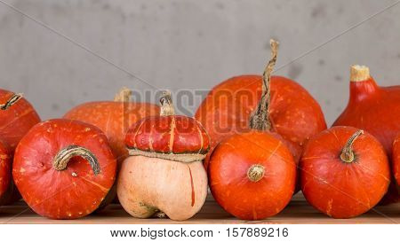 Decorative pumpkin orange color for interior decoration.