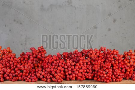 Beautiful red berries of rowan for interior decoration.