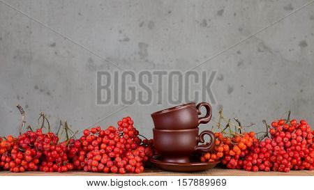 Beautiful red berries of rowan for interior decoration.