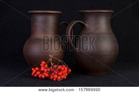 Beautiful red berries of rowan for interior decoration.