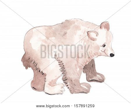 colorful happy white polar bear watercolor paint made