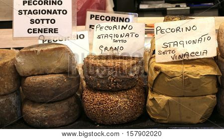 Many Types Of Pecorino Cheese Of The Italian Written The Cheese