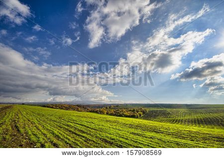 Green field with white clouds. İvanovka, Azerbaijan