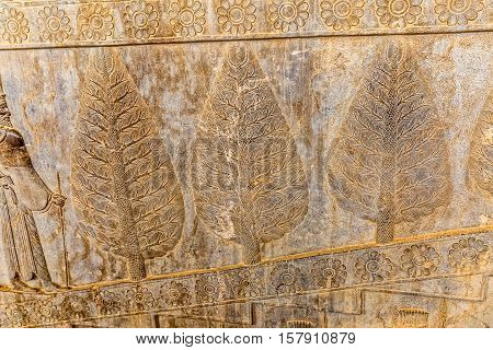 Stone bas-relief of the trees and flowers carved on the stairway facade of the Apadana at the old city Persepolis.