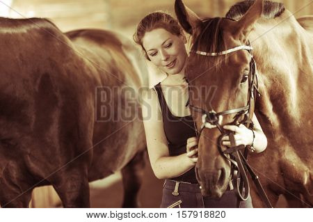 Animal horsemanship concept. Woman hugging brown horse in stable. Natural sunlight sepia