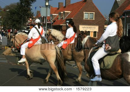 Anello a cavallo a Welcheren In Olanda