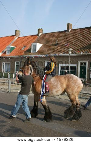 Anello a cavallo a Welcheren In Olanda