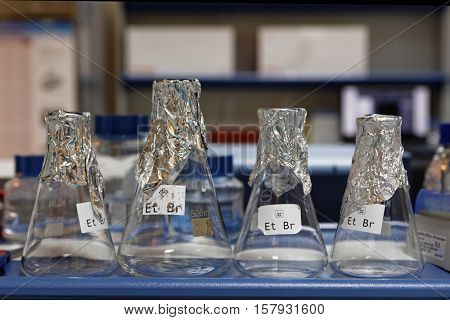 ST. PETERSBURG, RUSSIA - NOVEMBER 16, 2016: Flasks in the molecular genetics laboratory of the biotechnology company BIOCAD. It is one of the full-cycle drug development and manufacturing companies